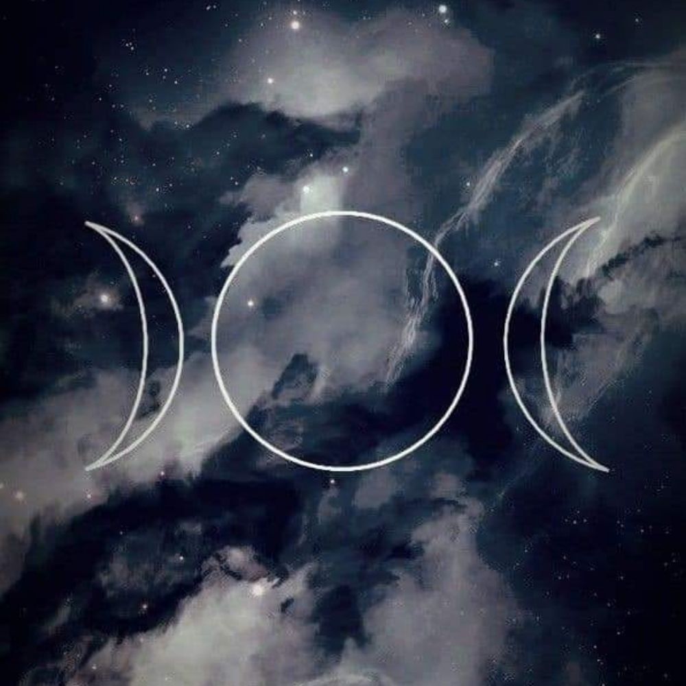 🌙Selenitywolf