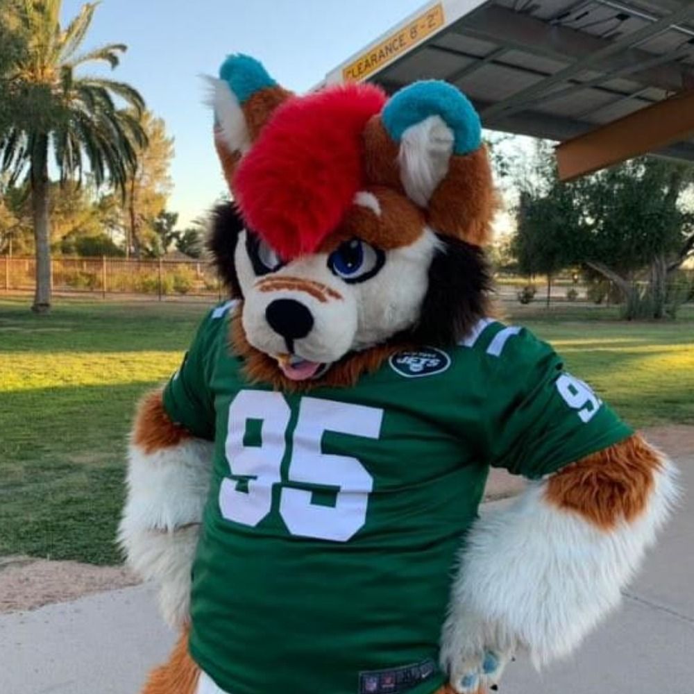 Bastian ~ The Desert Husky