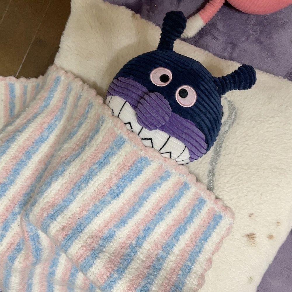 しおちゃん🐈