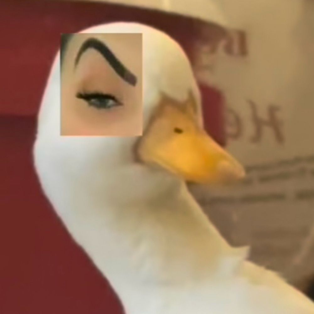 Sam
