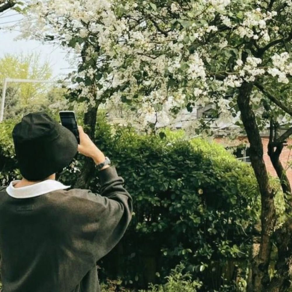 naju⁷ 🌼