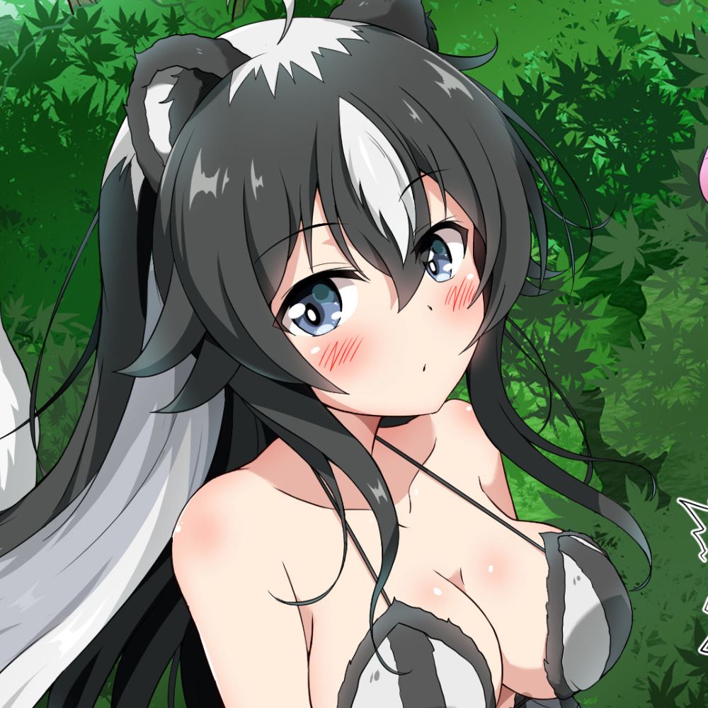 Dros（どろす）