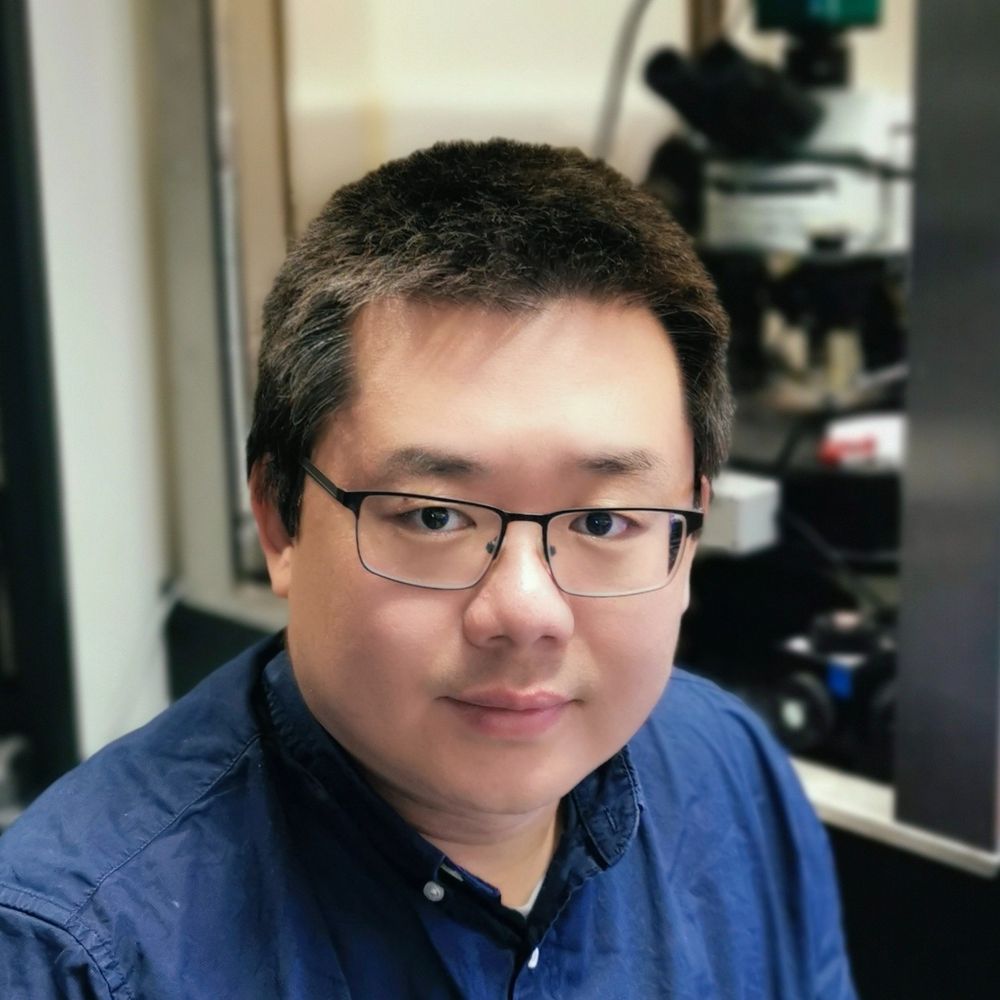 YanFeng Zhang