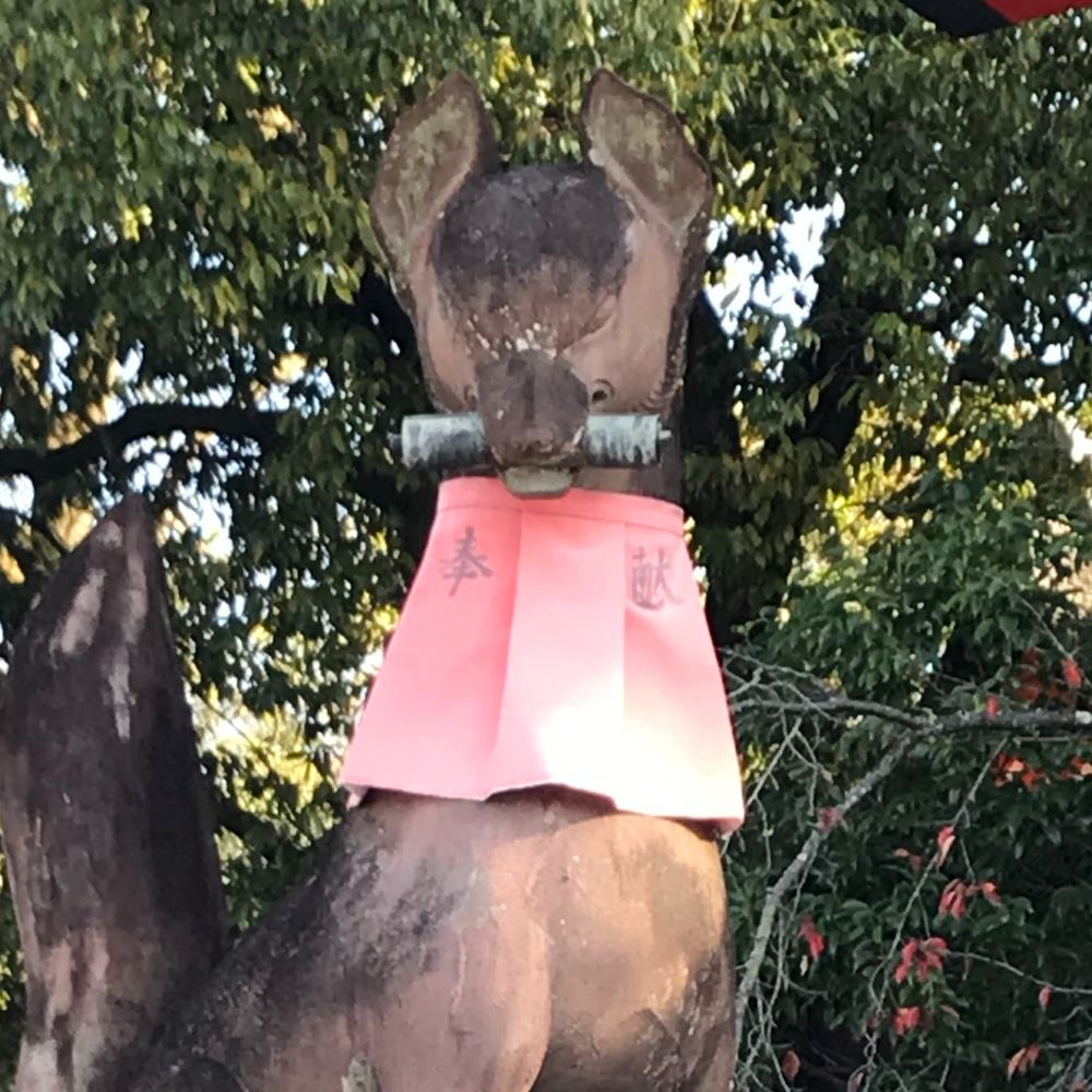 モクロク