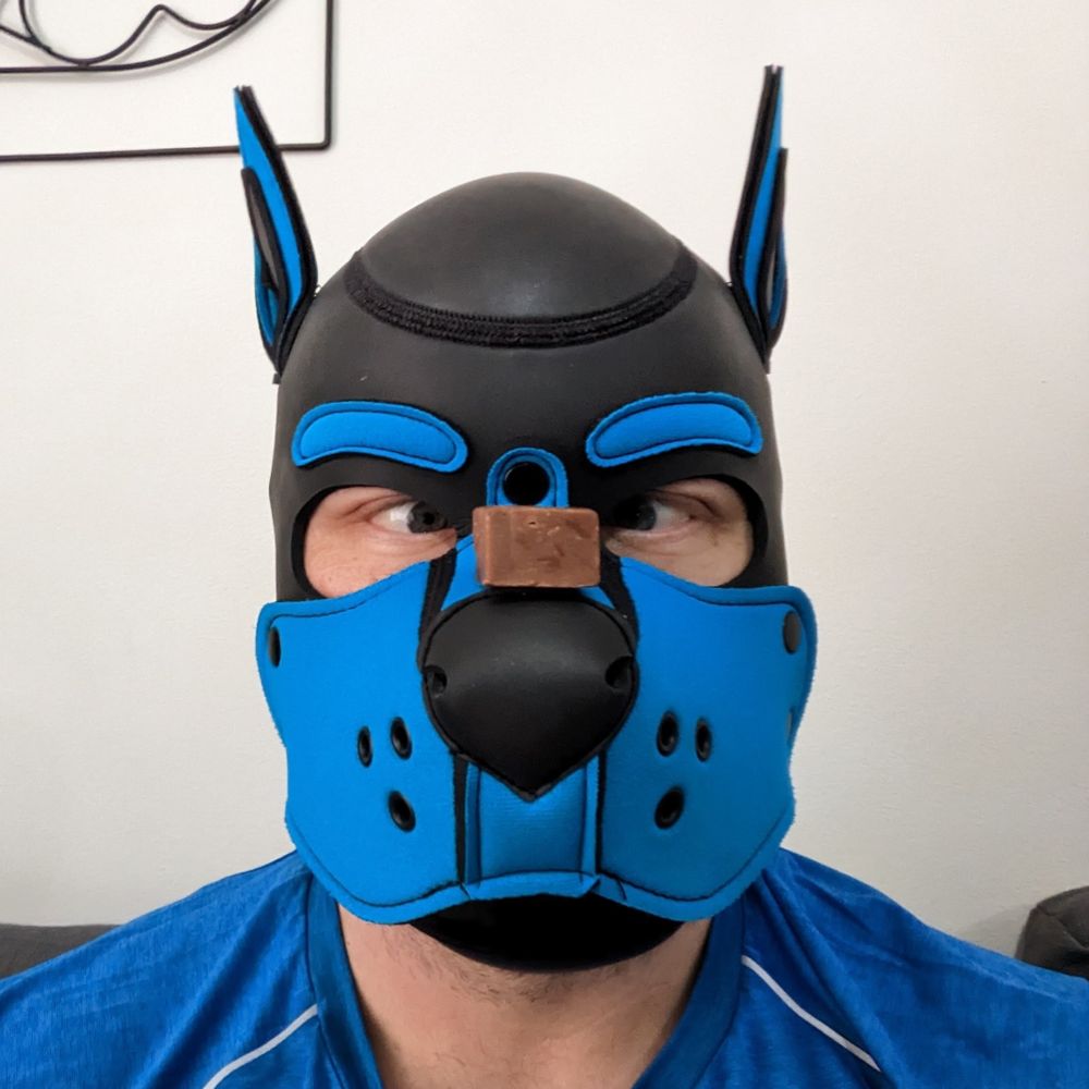 Pup Dusk
