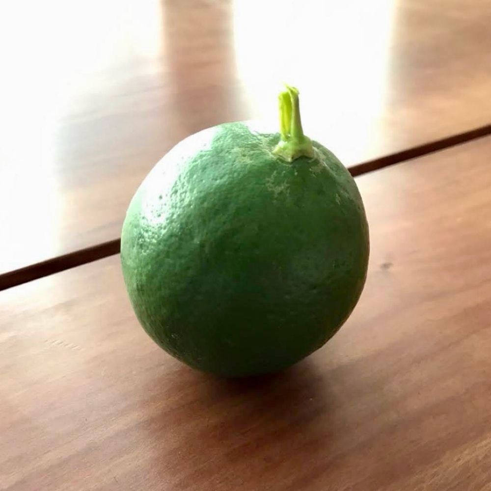 かぼす