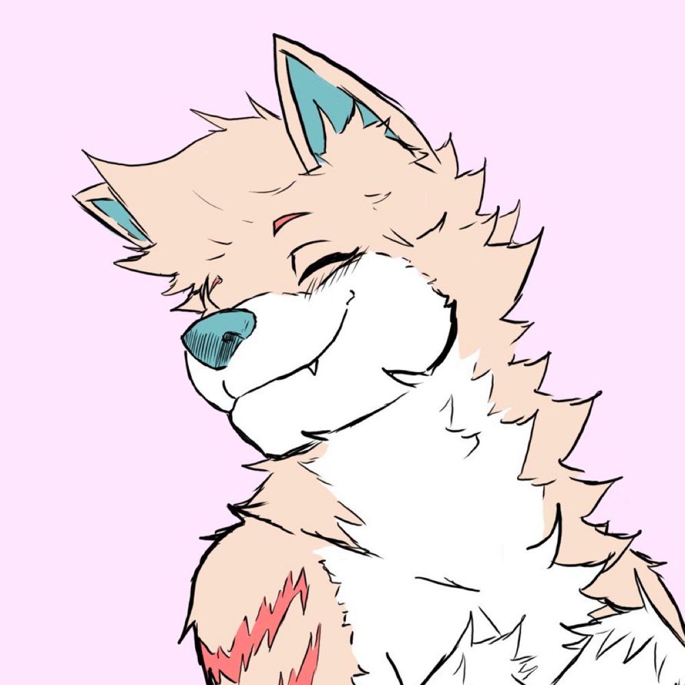 Klein the husky