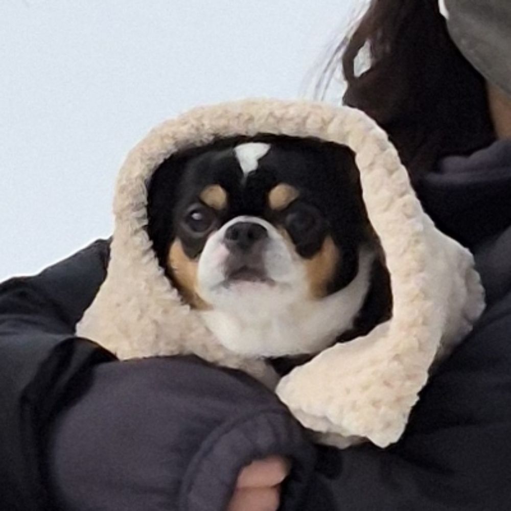 싹싹