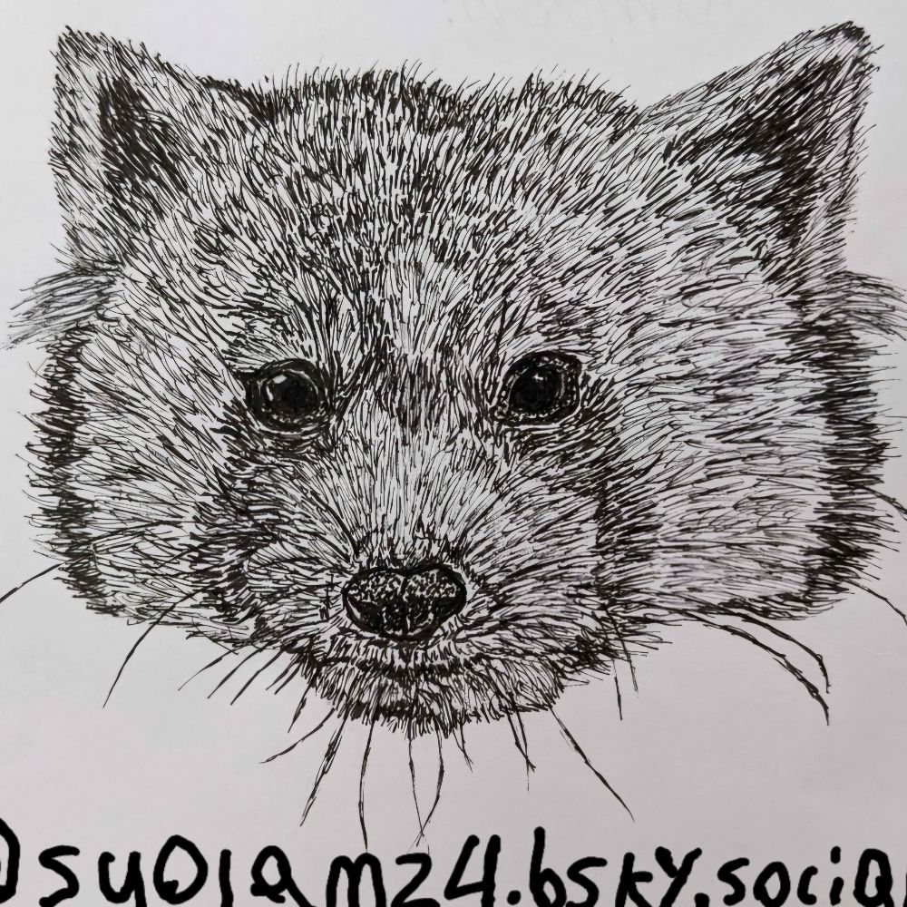RedPandaOL