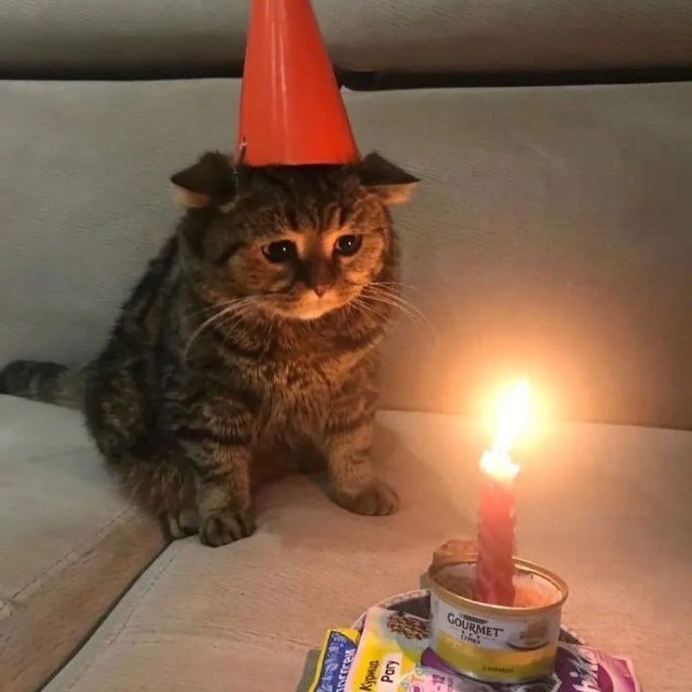 Cat Posts
