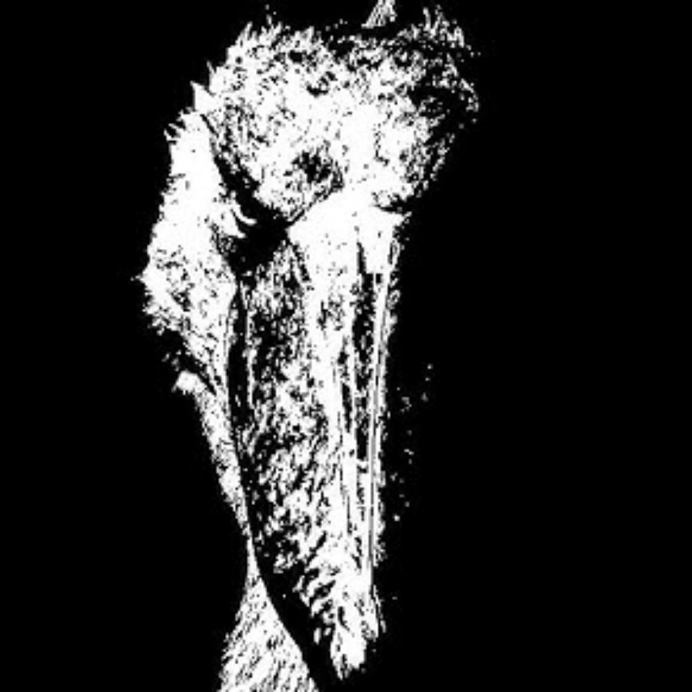 marinevs.bsky.social