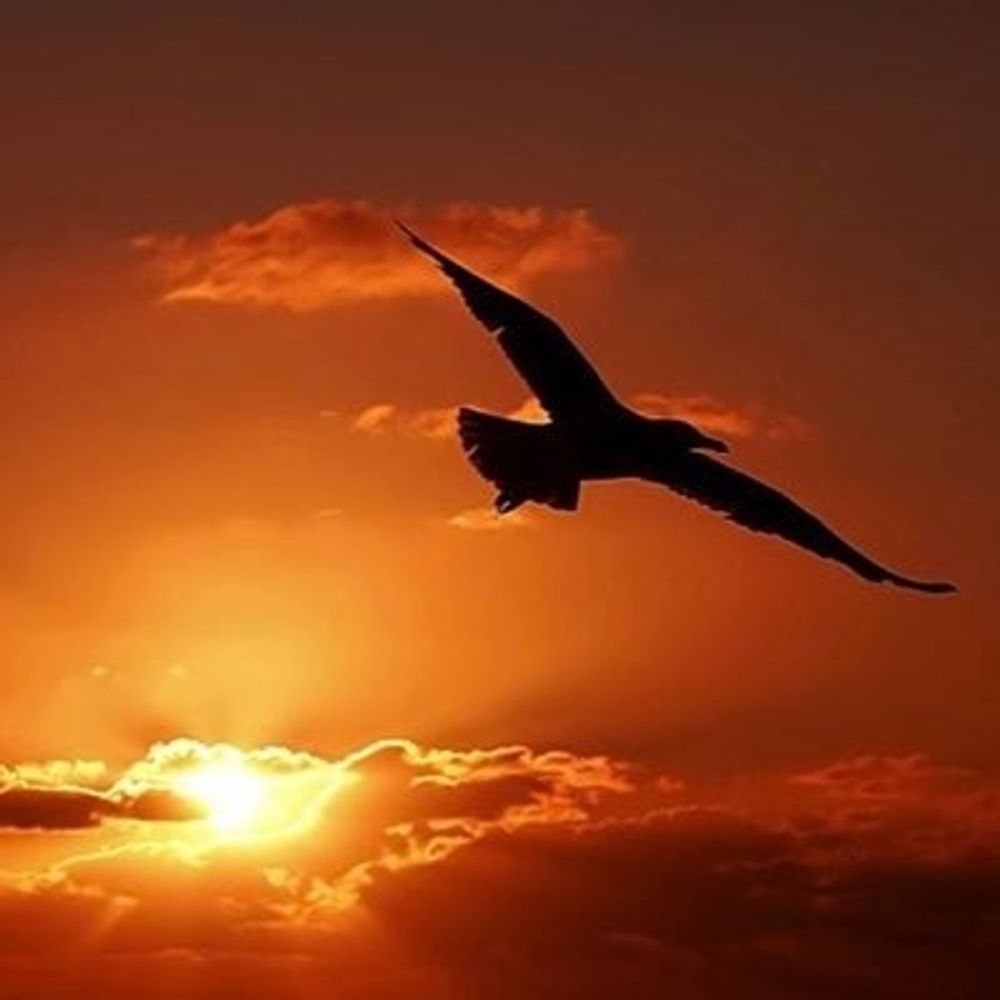 iminapot.bsky.social