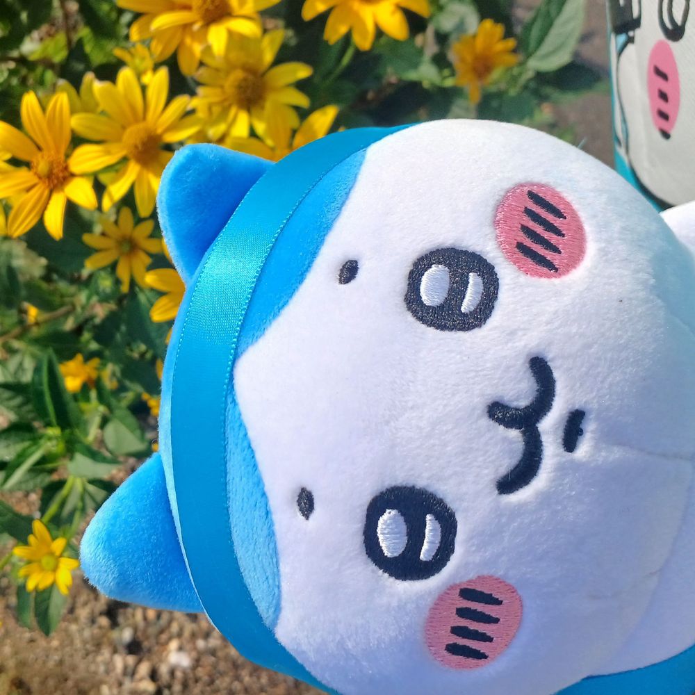 くぅ🌟 