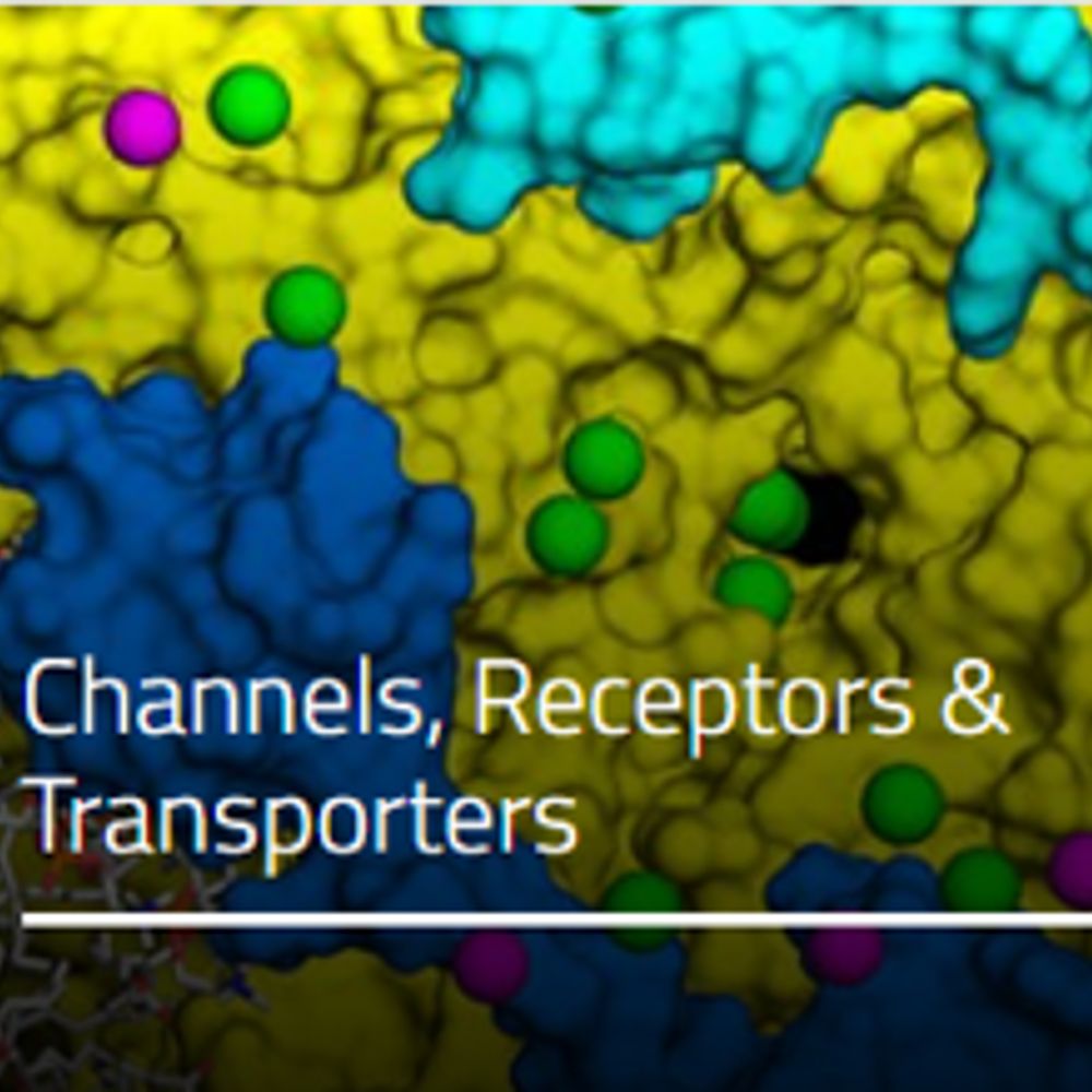 Channels, Receptors & Transporters Subgroup of BPS