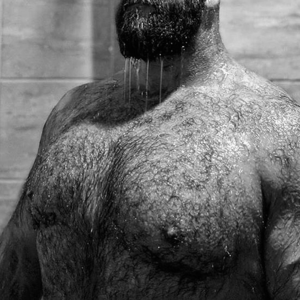 BearLover