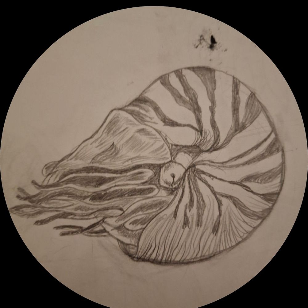 Nautilus