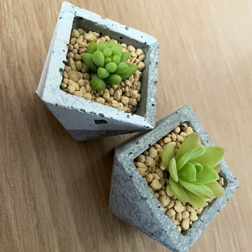 おまめ