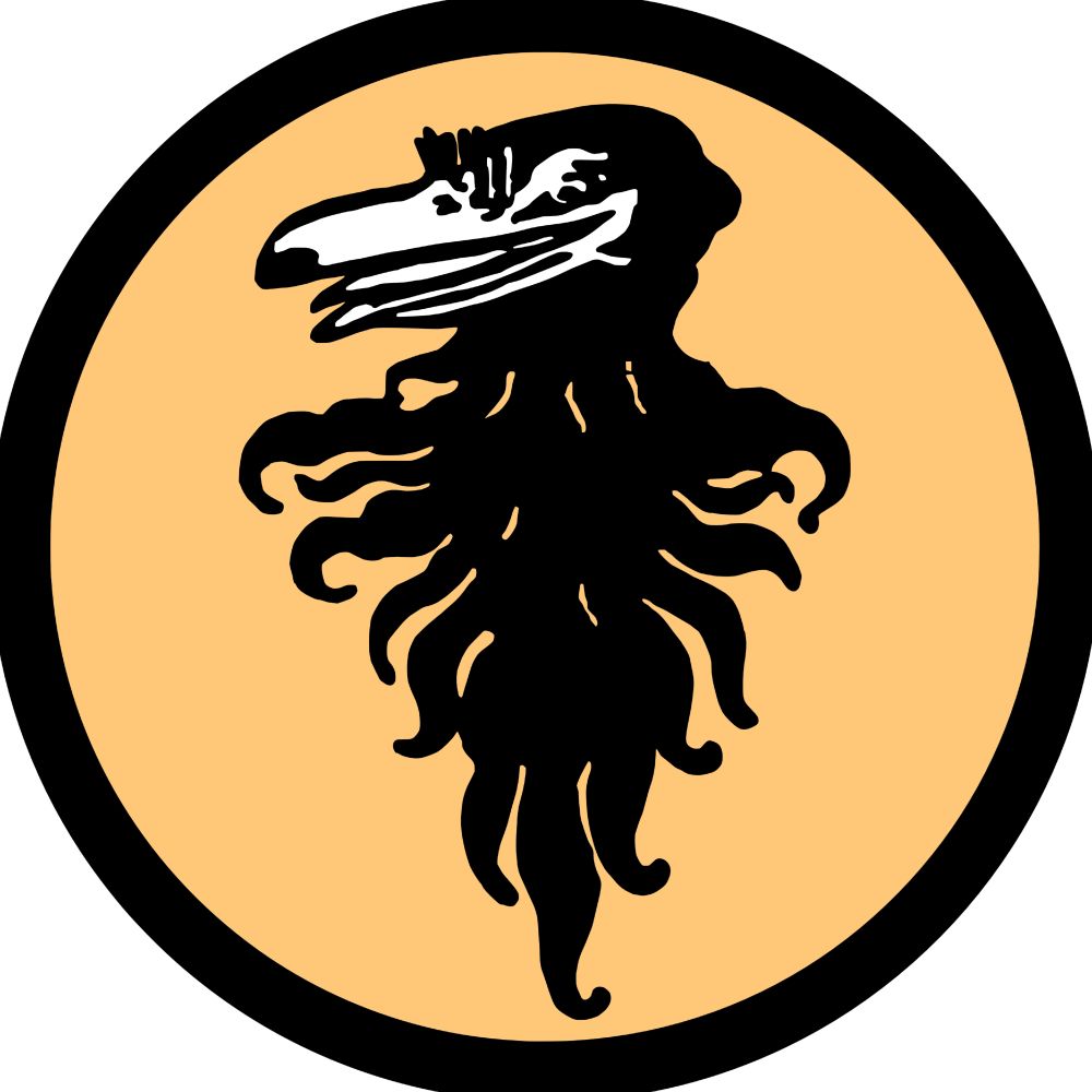 Sport-Club Freiburg Geschichte