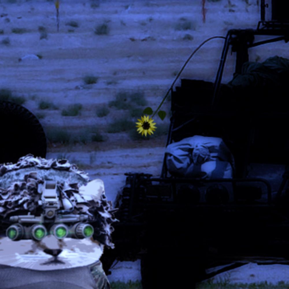 Desert Cat Fella