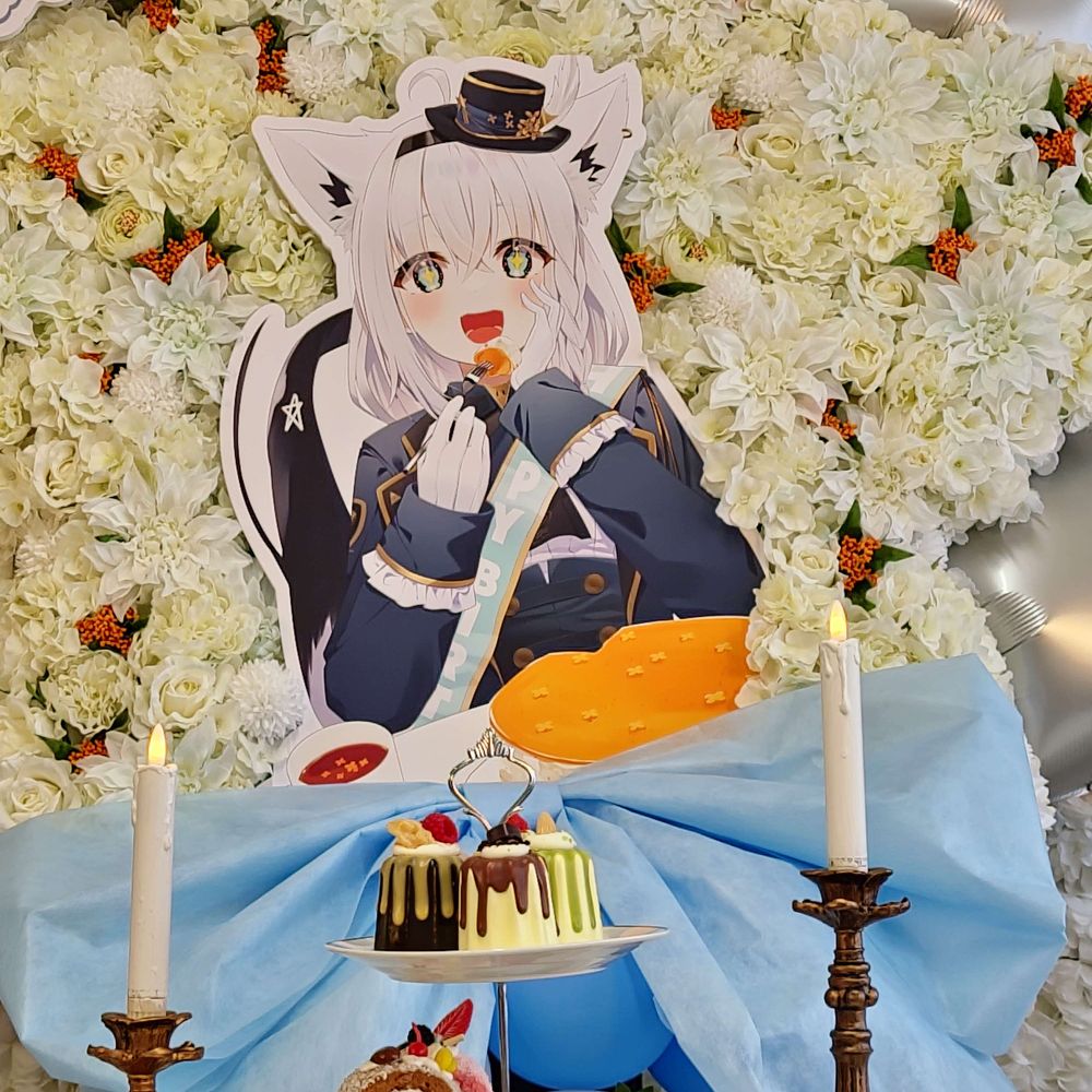 白上お祝い企画
