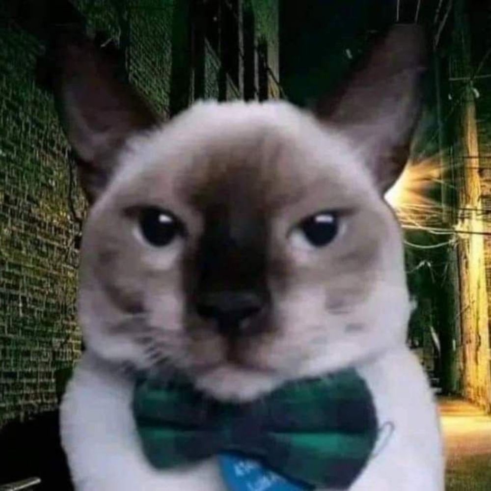 HansGanso 