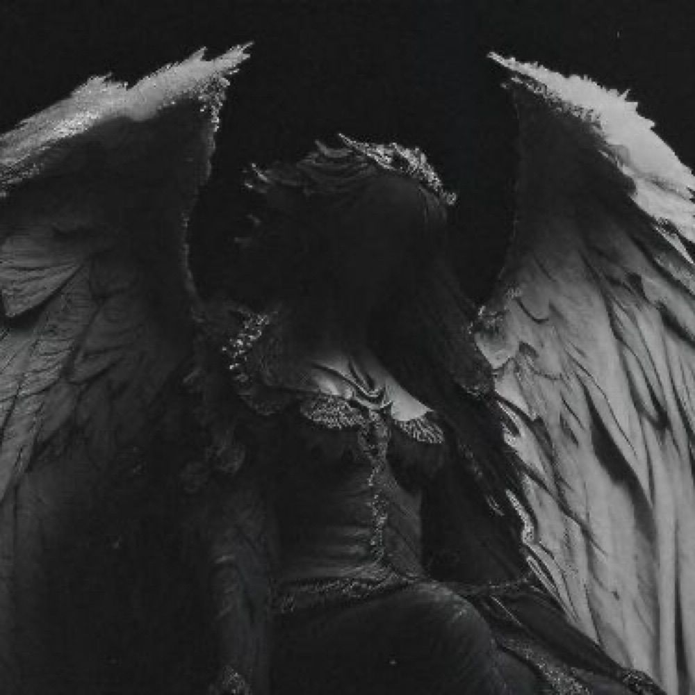 𝐒𝐪𝐮𝐢𝐝𝐝𝐲 𖤐
