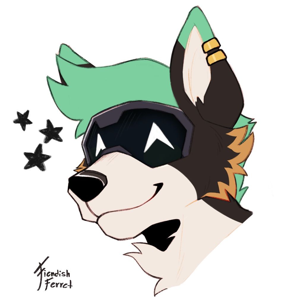 Reboot/Fitz