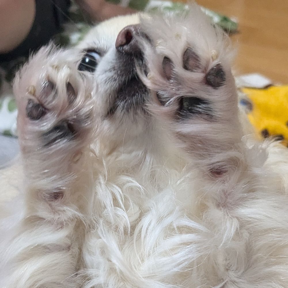 うめ