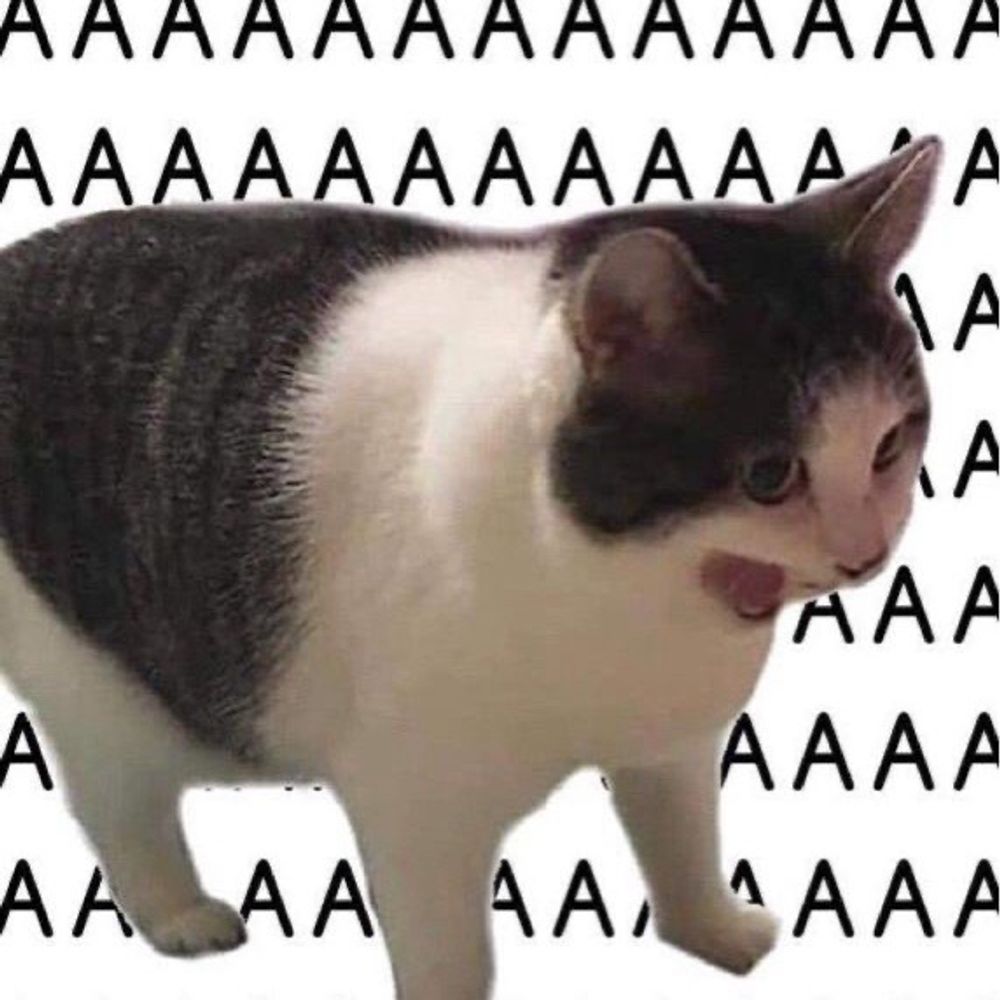 Catto