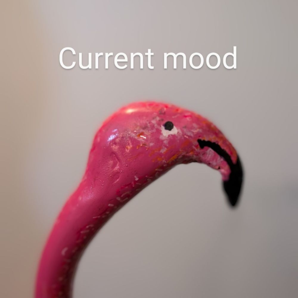 No