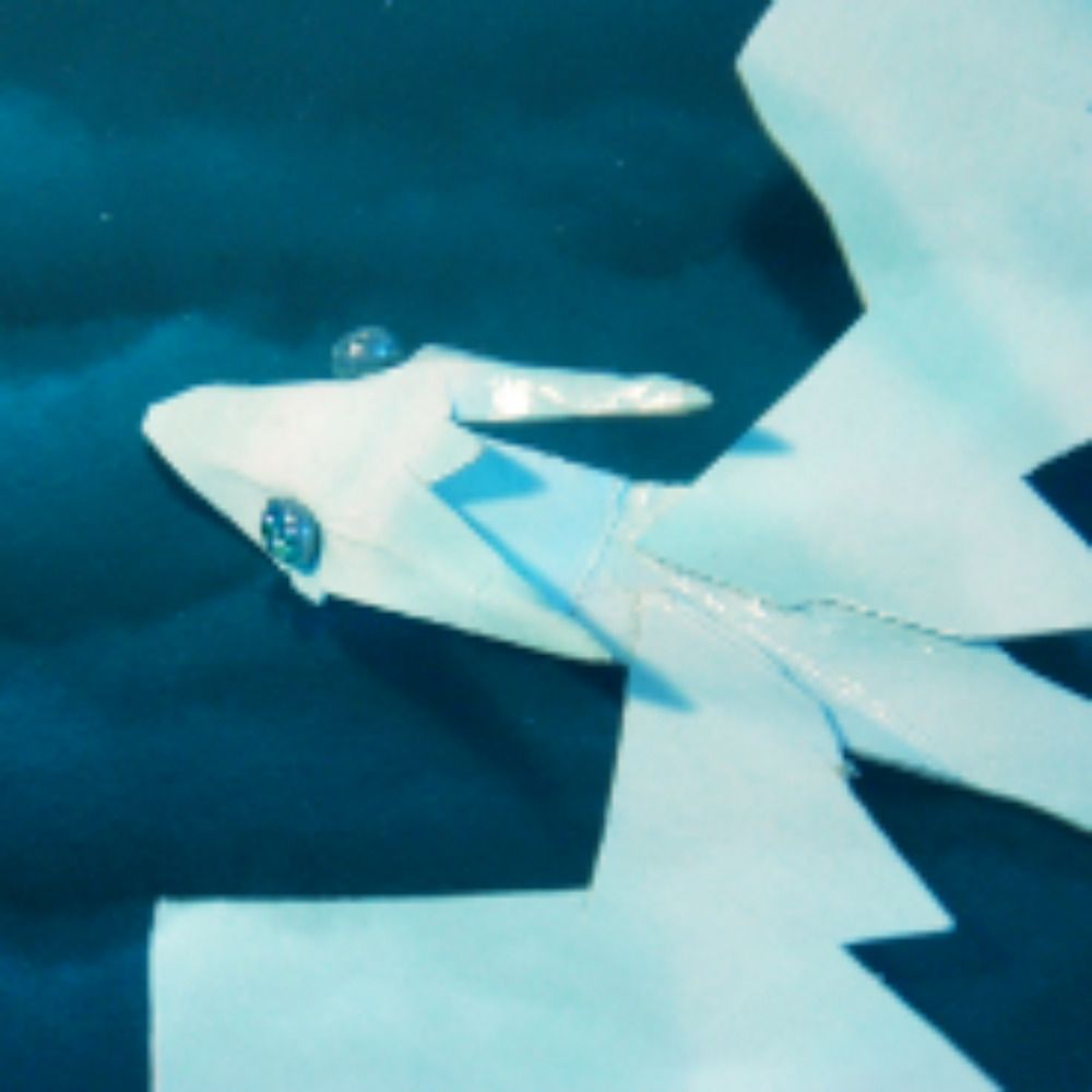 Meganopteryx