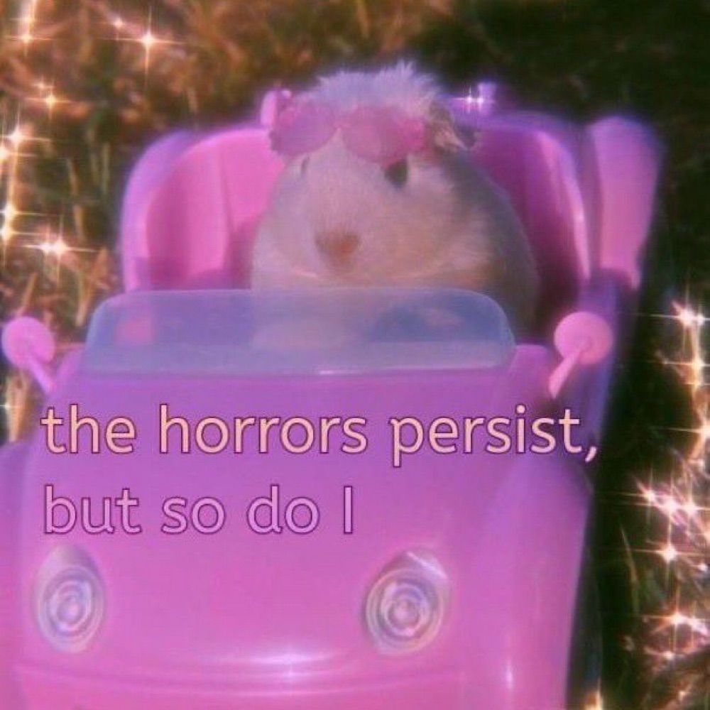 Babi