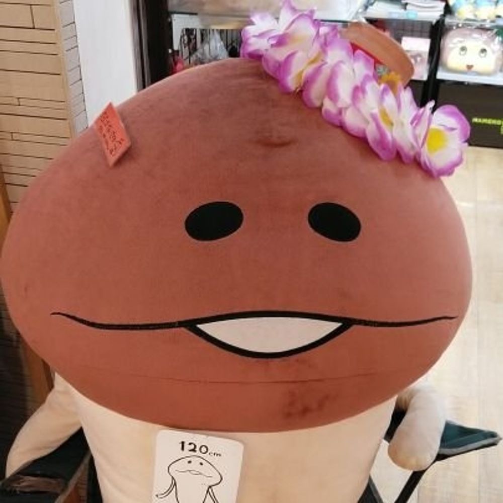 ひかる