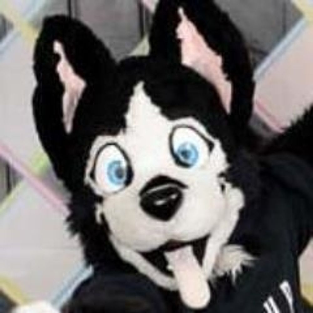 BUDDY! 🔜 Furlandia