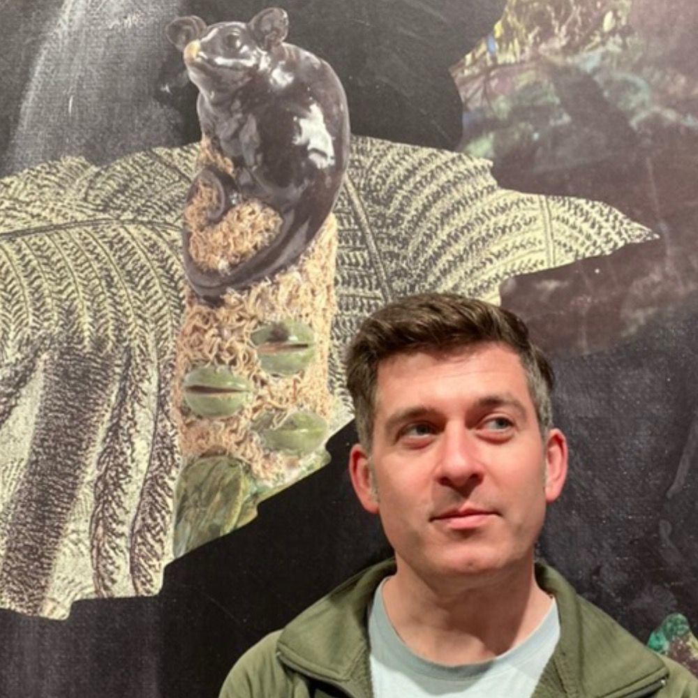 David Filcoff