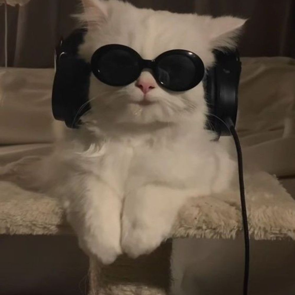 Dubidubidam | ig:knittysun