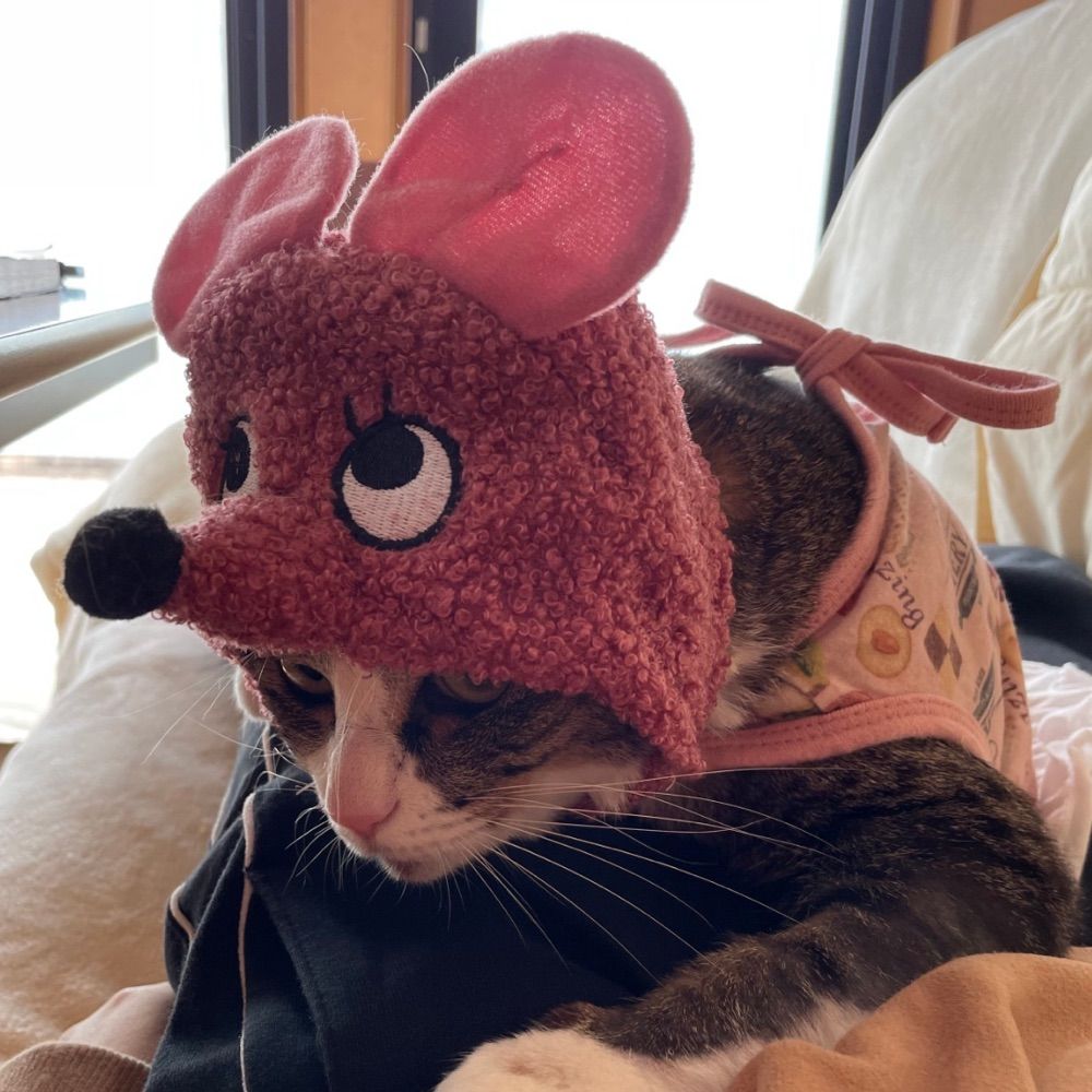 kakko