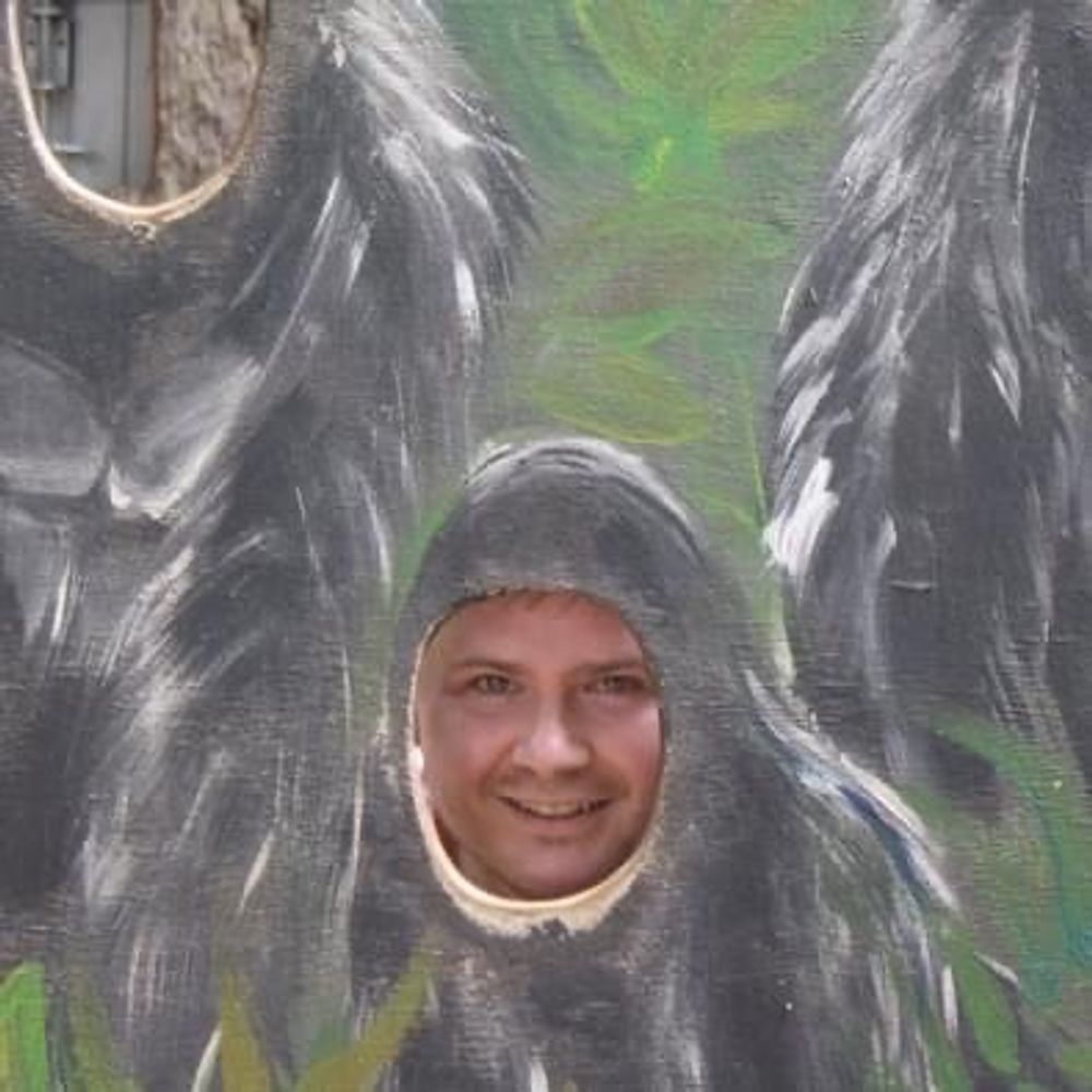 Matthew McCallum