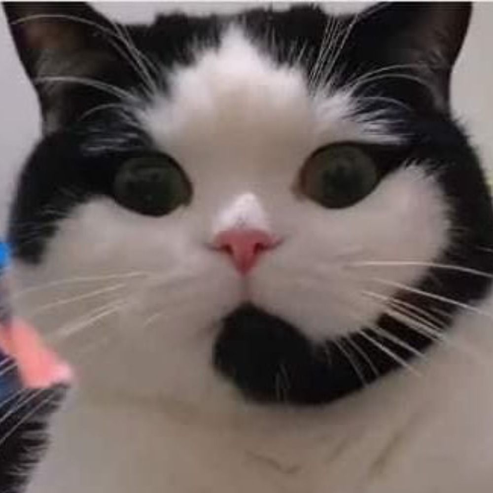 Niiw