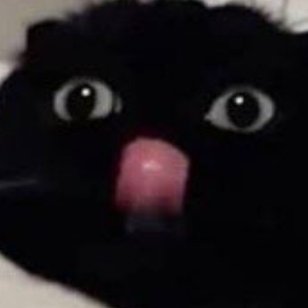 Gato