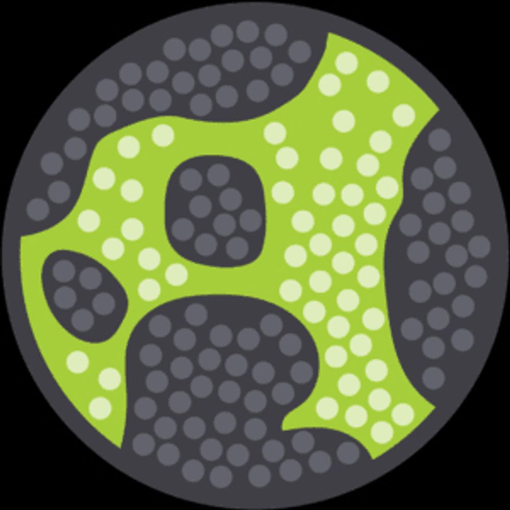 Spatial Genomics and Long Read Sequencing Service Provider, SG