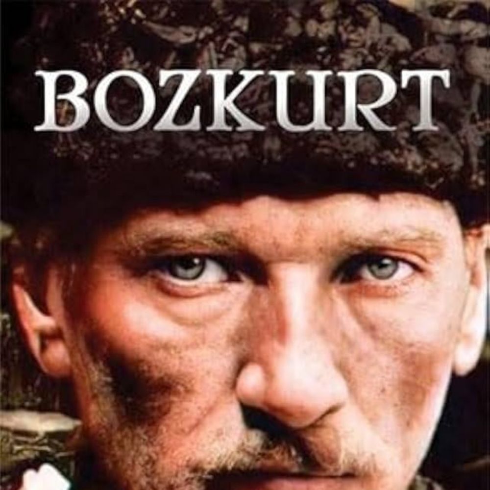 HERO OF TURKS. SOLCU.BOZKURT