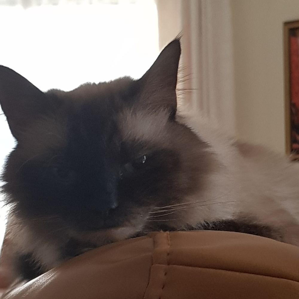 Skye0314