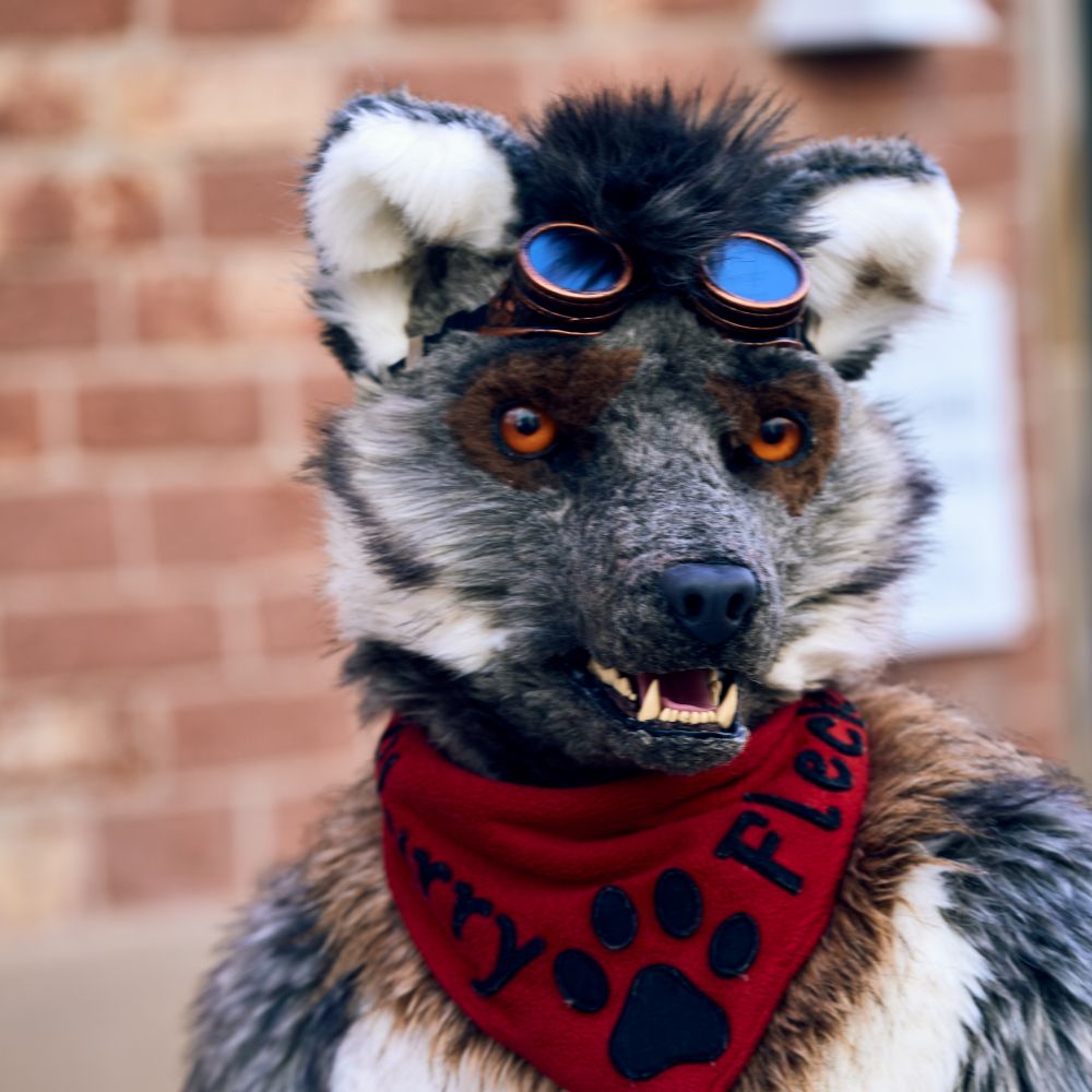 FlurryFlecky 🔜@NFC @Furciety