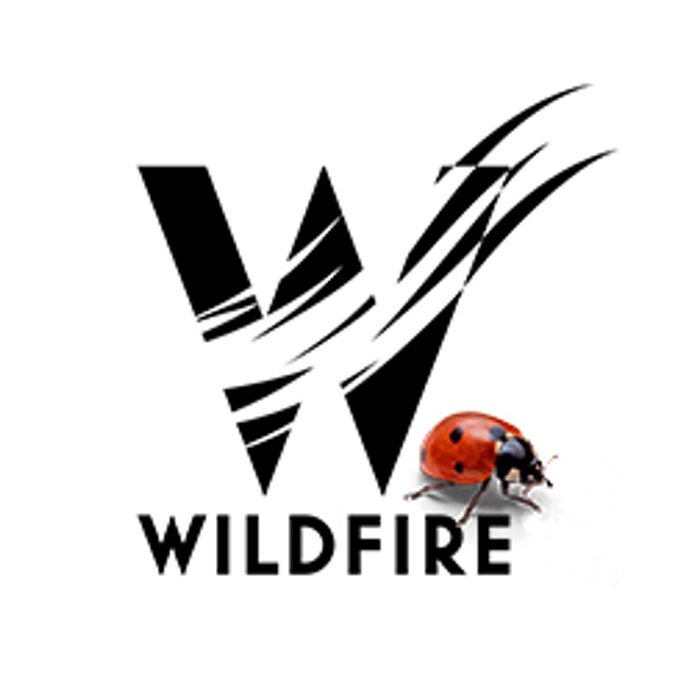 Wildfire Books