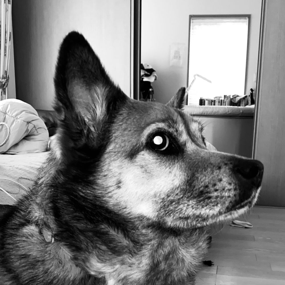 秋筍