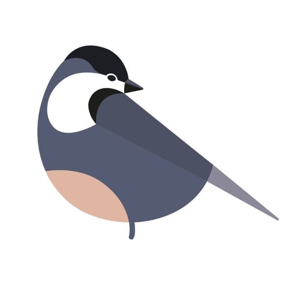 Wayward Chickadee
