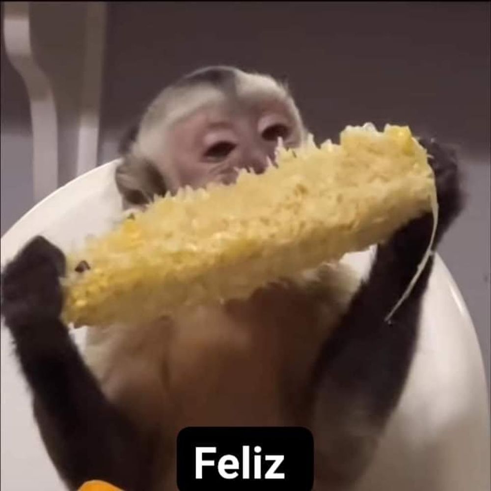 Alejandro