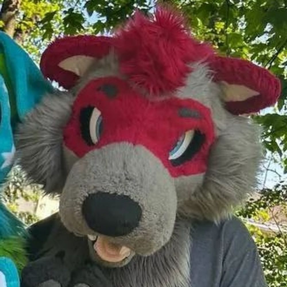 Mr Raccoon