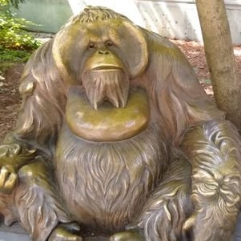 Kulshan